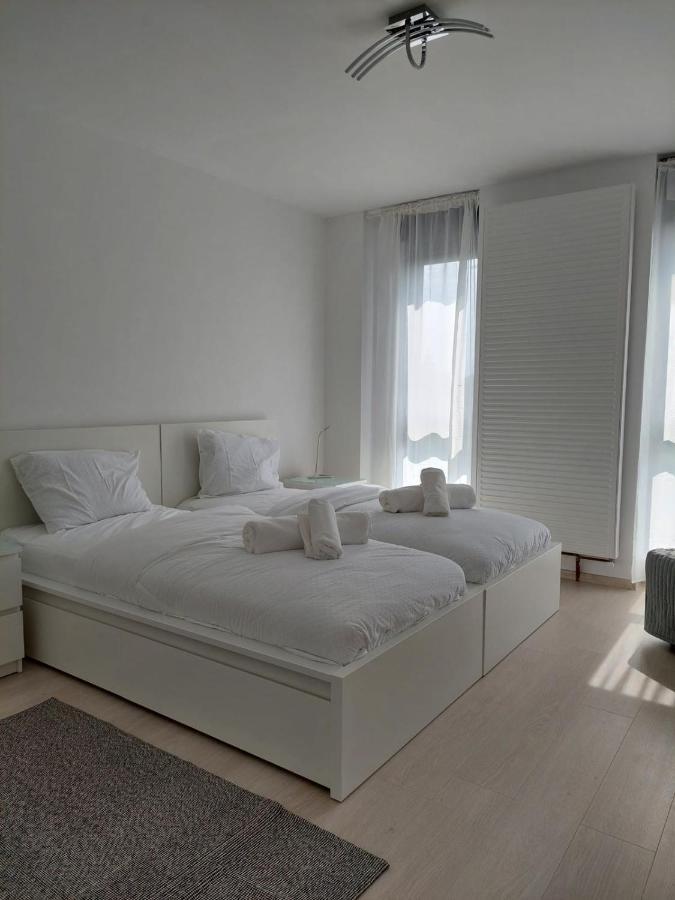 Casa Maria City Apartments Timisoara Exterior photo
