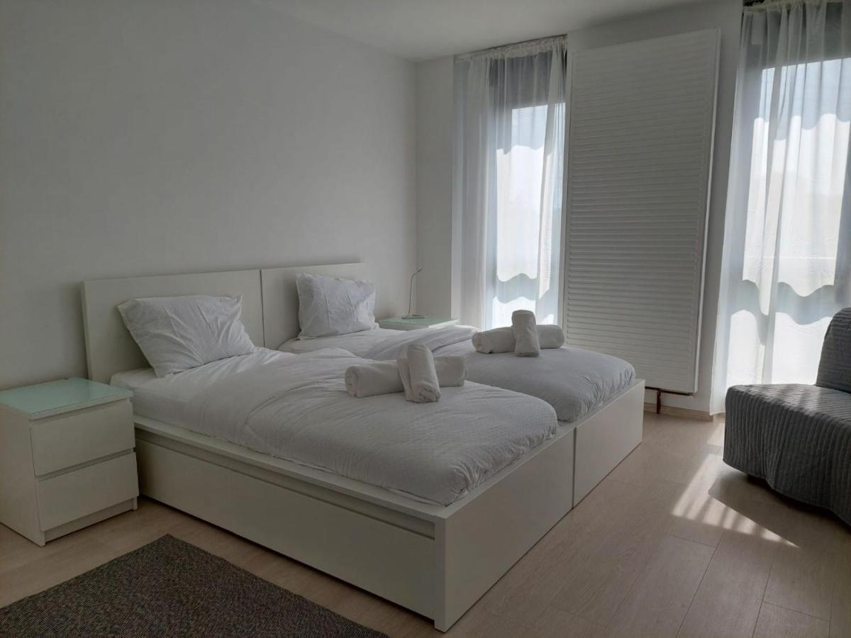 Casa Maria City Apartments Timisoara Exterior photo