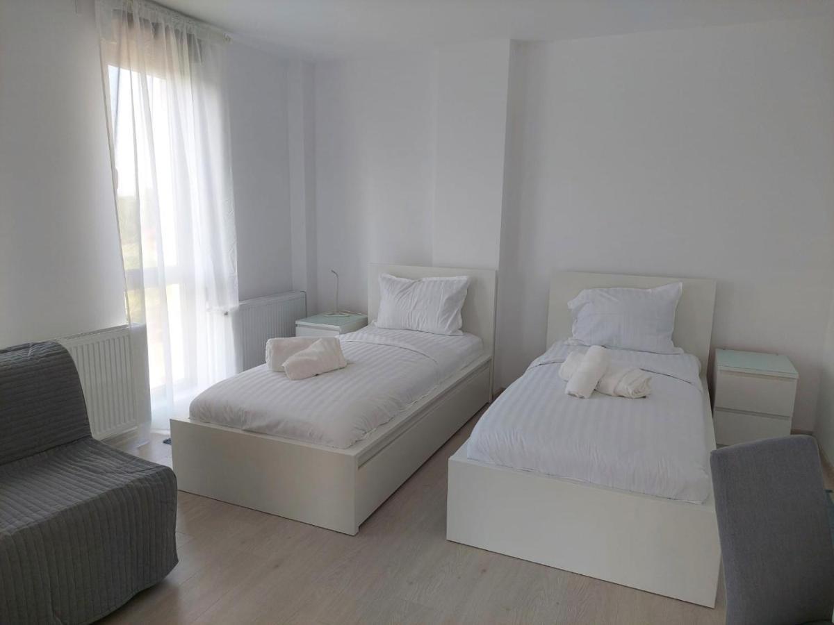 Casa Maria City Apartments Timisoara Exterior photo